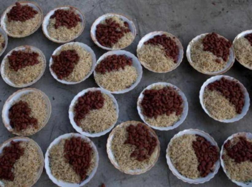 طبق واحد يكشف 