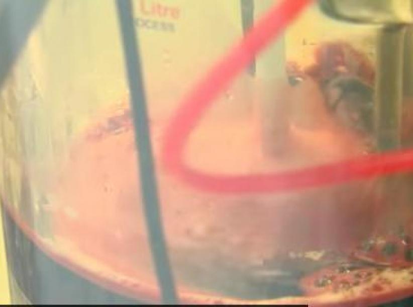 فيديو- علماء روس.. الدم البديل أصبح حقيقة