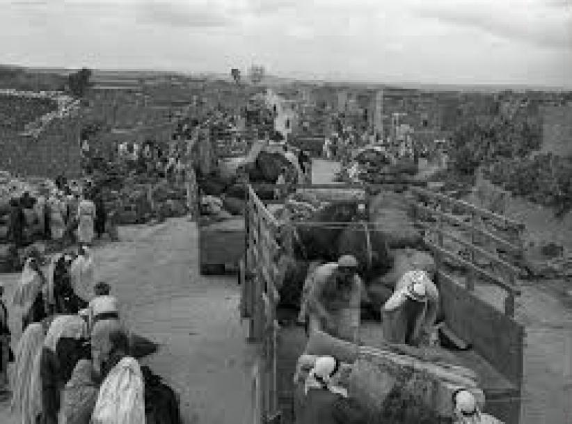 69 سنة على مجزرة الاحتلال في قرية الدوايمة