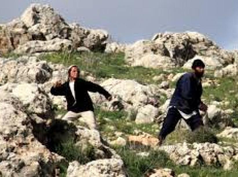 مستوطنون يهاجمون المزارعين جنوب الخليل