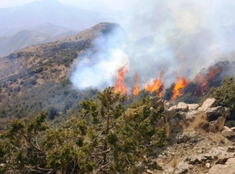 حريق ضخم يلتهم 900 دونم من جبال القدس