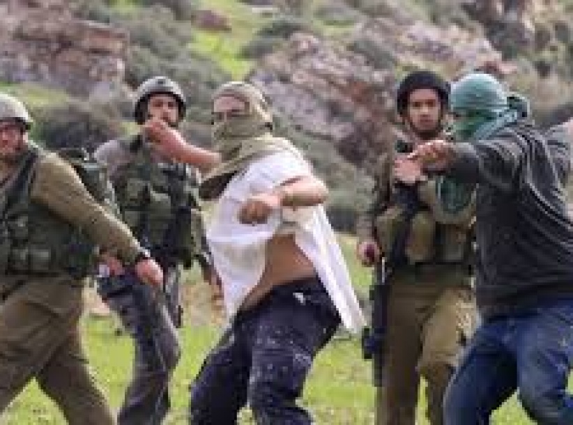 مستوطنون يعتدون بالضرب على مزارع جنوب بيت لحم