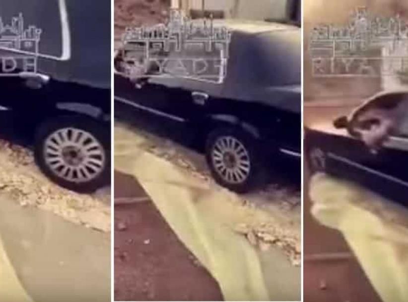 بالفيديو| شاب يدهس الخبز بسيارته يثير استياء المعلقين