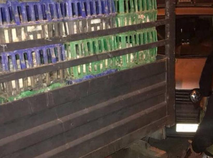 ضبط طن ونص دجاج مهرب من إسرائيل بمحافظة الخليل