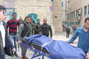 1378862_841248869257196_2222697050674487252_n