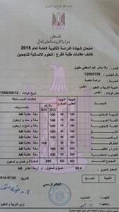 2015-jpg-14351233535106944