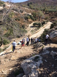 11904719_873154529425655_393610414432731075_n