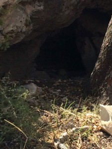 11921740_873154492758992_1519690797329742805_n