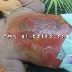 12573692_1290509907658093_4991520071387641901_n