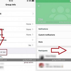 whatsapp-group-limit-increase-256-ndtv-jpg-17556581942587209