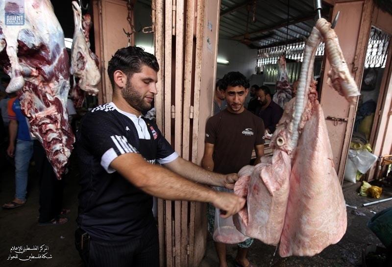 بيع لحم حصان في أحد أسواق غزة والامن يعتقل 4 تجار