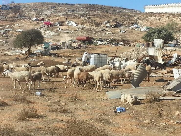 الاحتلال يهدم منزل مقدسيّ ضرير