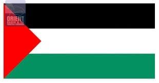 مصر: شباب يطلقون حملة لحفظ النشيد الوطني الفلسطيني