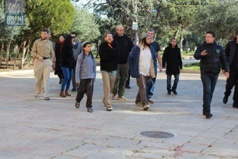 مستوطنون يقتحمون الأقصى واعتقال شابين