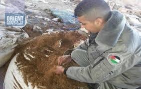 ضبط وإتلاف 2 طن تبغ من مخلفات مصانع المستوطنات