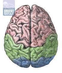 غيّر نمط حياتك لتحمي دماغك