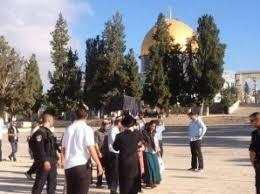 اقتحام مستمر للأقصى وتقسيم زماني يهدده