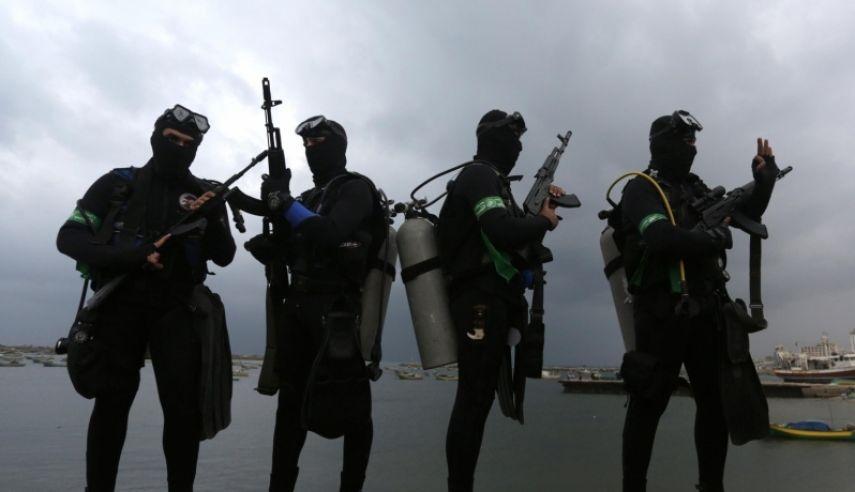 المقاومة تضبط دولفيناً مزود بأجهزة تجسس ومراقبة ببحر غزة