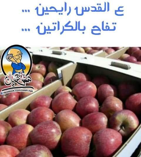بالفيديو والصور..