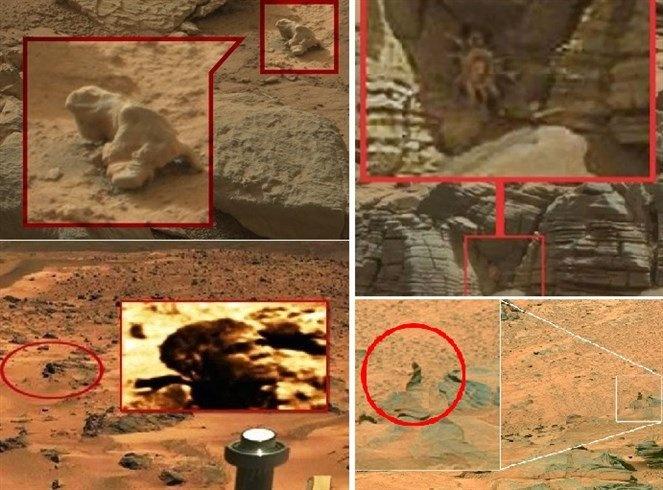 صورة من المريخ تحيّر الألباب وتتحدى 