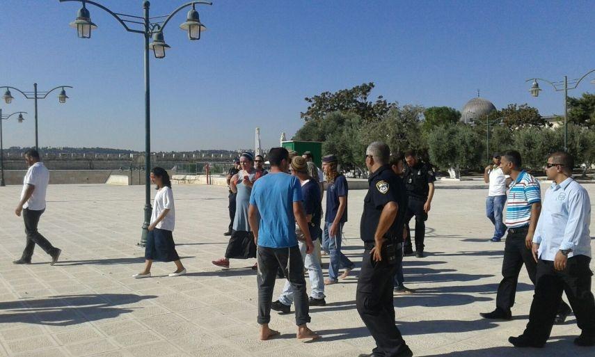 اعتقال 50 فلسطينيًا وإبعاد 37 عن الأقصى بأغسطس