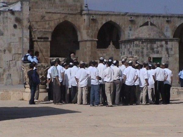 مستوطنون يجددون اقتحامهم للأقصى واستمرار اعتصام نساء وطالبات على بواباته