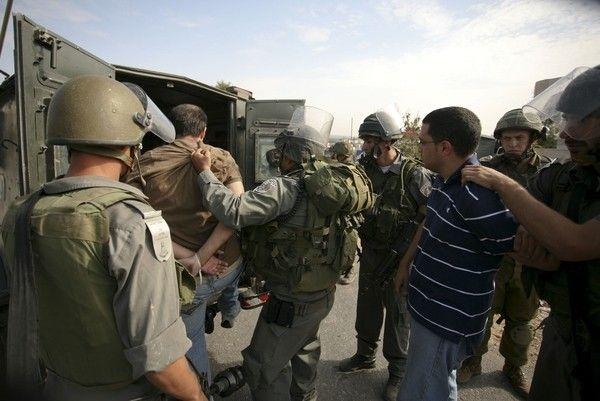 الاحتلال يعتقل أربعة مواطنين من تقوع شرق بيت لحم