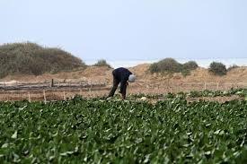 الاحتلال يستهدف مزارعي عبسان وخزاعة