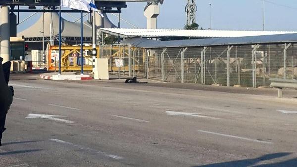 استشهاد فتاة برصاص الاحتلال جنوب قلقيلية