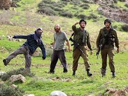 مستوطن يطلق النار على مزارعين جنوب نابلس