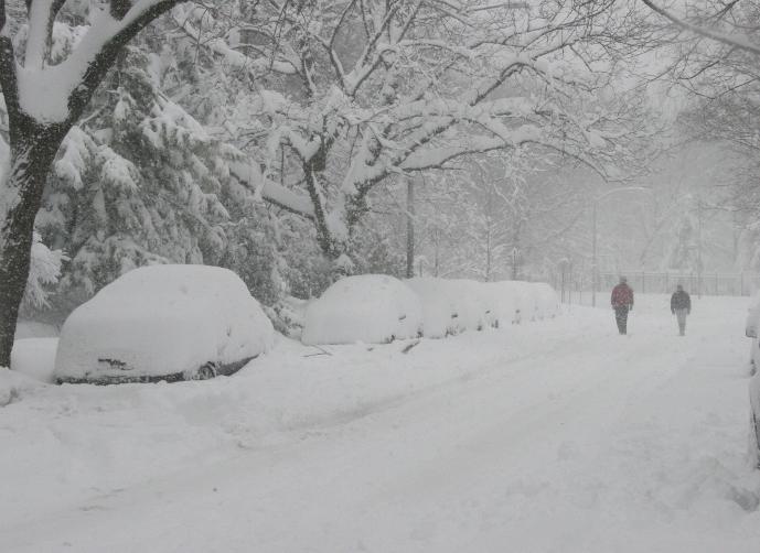 موجة صقيع- الراصد الجوي يُطلق انذارا مبكرا للمزارعين