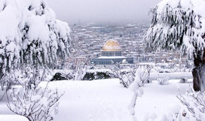 الثلوج تبدأ بالتساقط فوق قمم الخليل وتمتد ليلاً الى 800 م