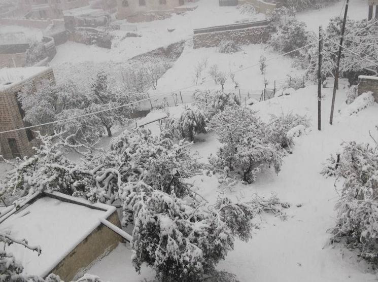 منخفض قطبي وثلوج محتملة الأسبوع القادم بمشيئة الله