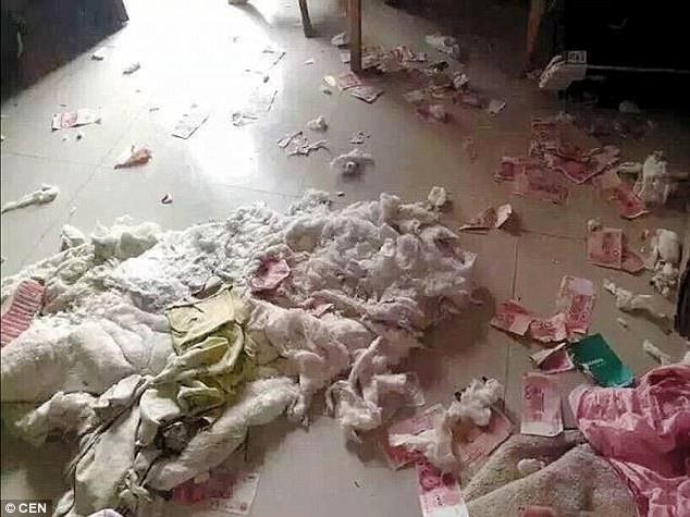 صور| خبأ المال عن زوجته.. فعاقبه القدر!