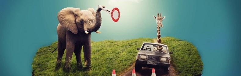 عادات سيئة لا يفعلها الأذكياء أبدًا