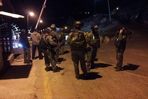 الاحتلال يعتقل 8 فلسطينيين ويعثر على سلاح