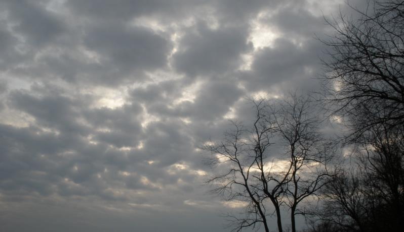 الأرصاد: استمرار الأجواء الباردة حتى الأحد