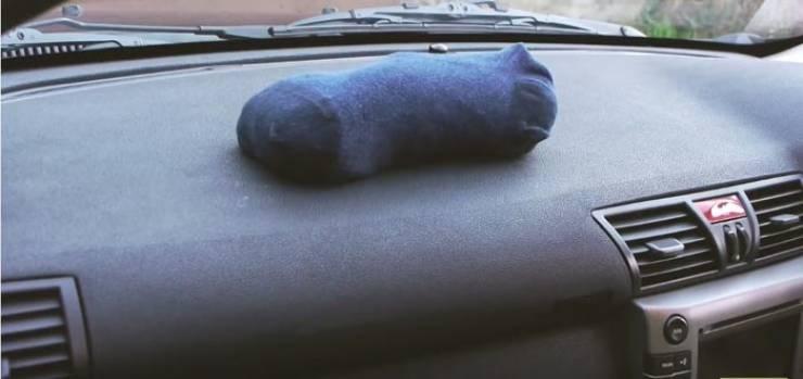 ضحك الجميع عندما وضع جواربه داخل السيارة في فصل الشتاء !