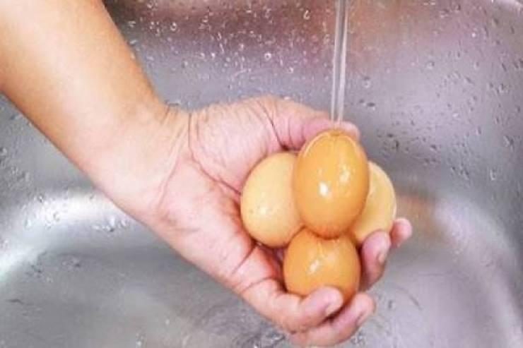 تحذير هام جداً ... ماذا يحدث عند غسل البيض ... ووضعه في الثلاجة ؟