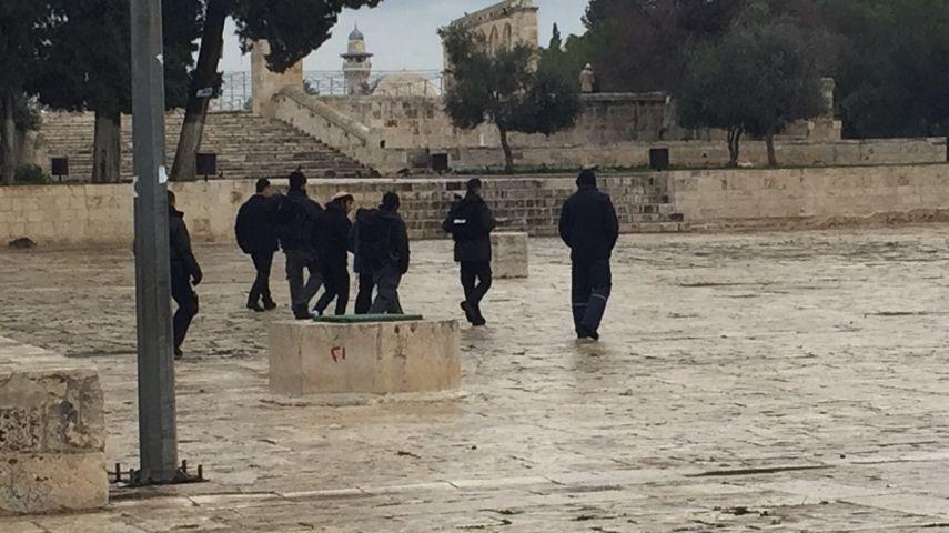 مستوطنون يقتحمون الأقصى وقيود على دخول النساء