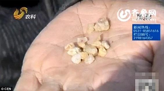 بالصور: صينية تذرف حجارة بدلاً من الدموع