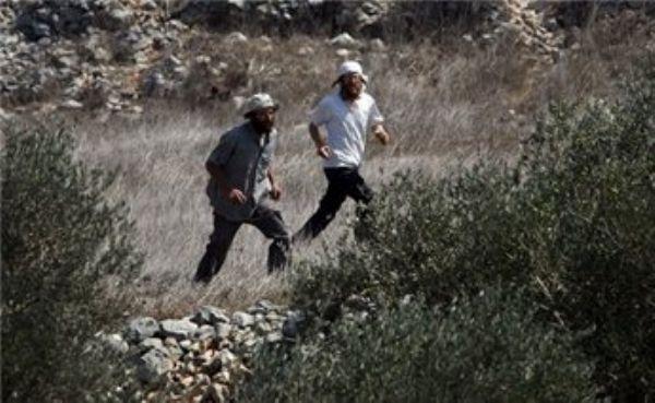 مستوطنون يعتدون بالضرب المبرح على راعٍ والاحتلال يحتجز آخر