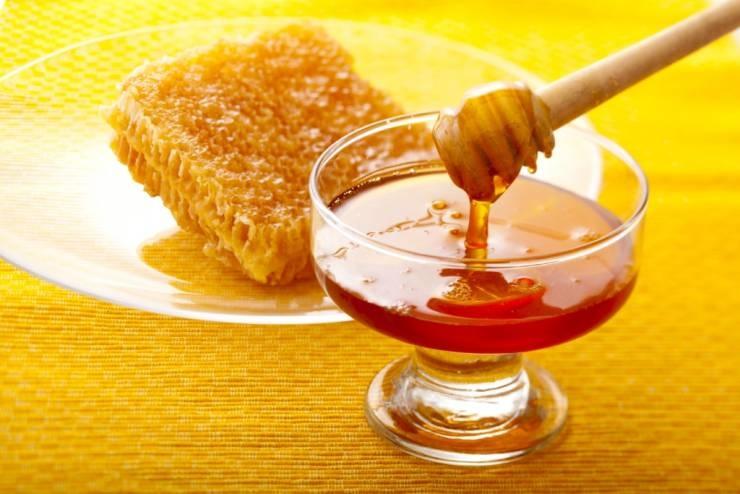 العسل يقتل الفطريات ويلأم الجروح