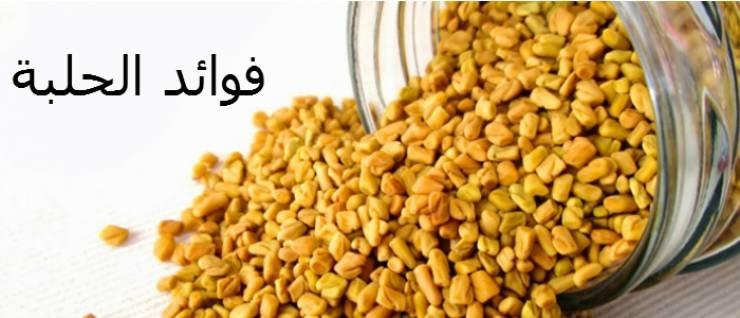 ما هي الفوائد الصحية لمشروب الحلبة الطبيعية؟!
