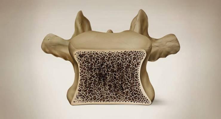 الأطعمة التي تقوّى العظم لكافة الأعمار