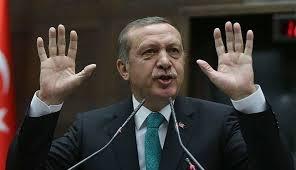 قانون إهانة الرئيس يثير غضب الأتراك