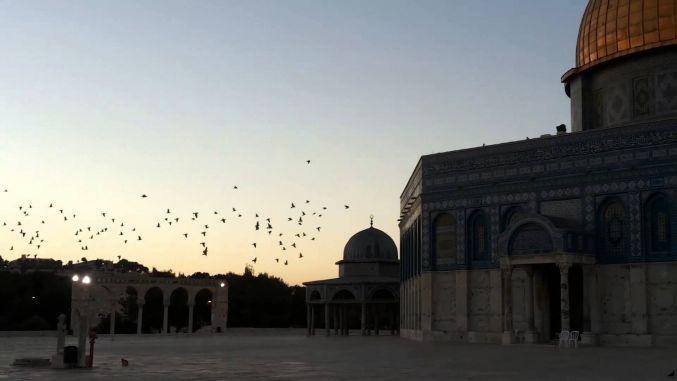 81 أسلموا داخل الأقصى في عامين