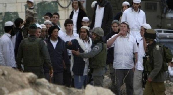 مستوطنون يعتدون على شاب من ذوي الاعاقة جنوب نابلس
