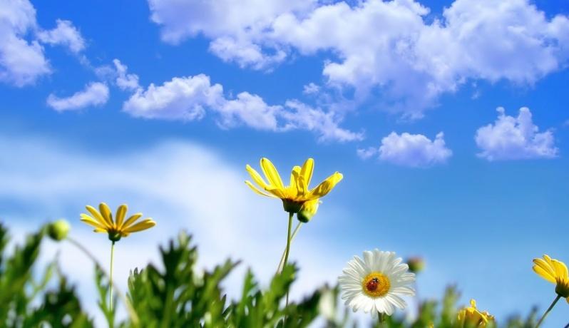 الطقس:الحرارة أعلى من معدلها بـ5 درجات