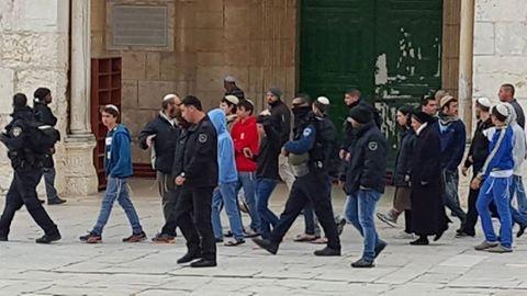 مستوطنون ينفذون جولات استفزازية في الأقصى